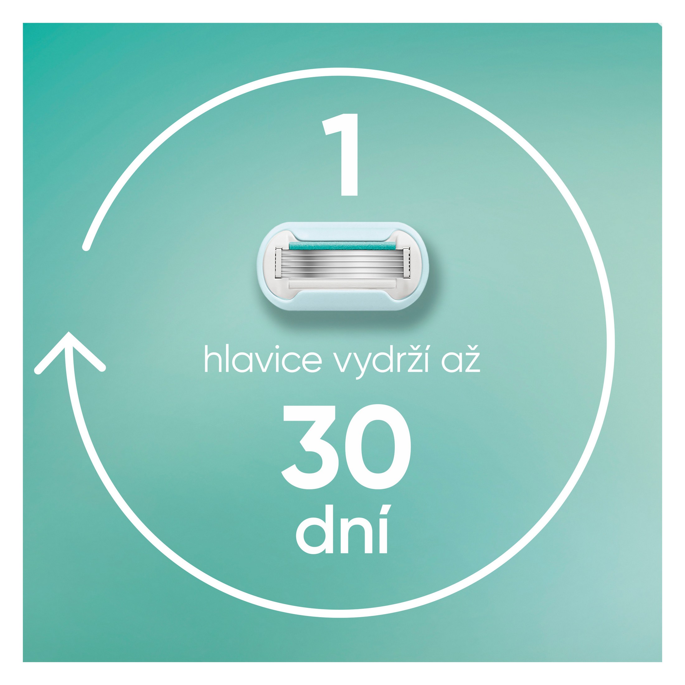 Gillette Venus Pro Smooth Sensitive náhradné hlavice 6 ks